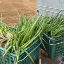 기필농장 이미지