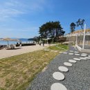 샌드비치 이미지