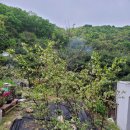 그린농자재마트 이미지