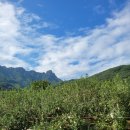 모싯골농장 이미지