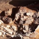 초당동-4 이미지