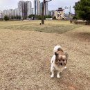 상서재마당근린공원 이미지