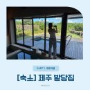밭담집 | 수영장 독채 숙소, 제주 밭담집 추천 솔직 후기