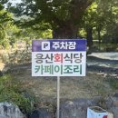 경주회식당 | [경주] 용산회식당｜경주로컬 회덮밥맛집 + 토요일 오픈런 후기