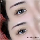 피어레스 래쉬(Peerless Lash) | 순천속눈썹 연장 꼼꼼하게 잘 하는 피어레스래쉬