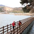 풍전목장 이미지