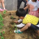 명성어린이집 이미지