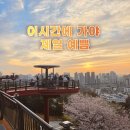도화역사 | 수봉공원 스카이워크 일몰 야경 타이밍(벚꽃 막바지)