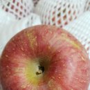 홍은농장 이미지