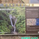 봉래약국 이미지