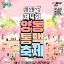 양동국시