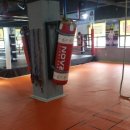 대전복싱클럽 이미지