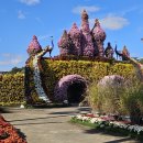 함평엑스포공원 이미지