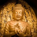 강서골드공인중개사사무소 이미지