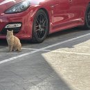 깜찍이품바공연장 이미지