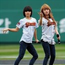짱 이미지