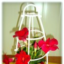 장일농장 이미지