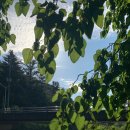 더하우스5985 이미지