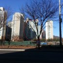 푸른마을로 이미지