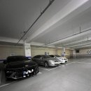 위시티 동물병원 이미지