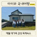 파넬테라스한달살기애월독채팬션 | 제주 서쪽 애월 감성숙소 제주고요 아이랑 대가족 독채 2박3일 후기