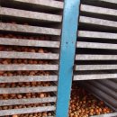 호두까기 이미지