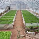 순복농장 이미지