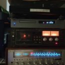 종운전자 이미지