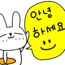 운정한빛동물병원 이미지