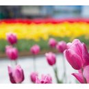 바닐라빈 - 연수구 아트센터대로 107 | 바닐라빈