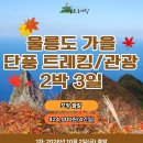 2026 울릉도 가을 단풍 트레킹 2박3일 이미지