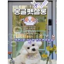 몽글펫살롱 이미지