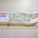 Sun-Love치즈