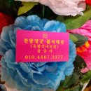 신령오토바이 | 부산점집용한곳 옥황선녀보살 후기: 오픈이냐? 이직이냐? (ft.점사비용)