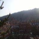 판암동240 이미지