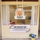 럭키하개 이미지