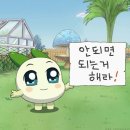 찬란별란