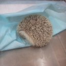 동교초교 이미지