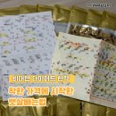 착한몸한의원 | 비대면 다이어트 한약 착한 가격에 시작한 뱃살빼는법 내돈내산 후기