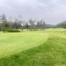 오펠 스크린골프 이미지