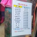 남홍횟집 | [삼척캠핑] 동해바다가 한눈에 보이는 강원도 삼척 "캠프오슬로" 캠핑기록