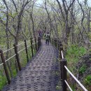 20110528....경북 영주시 풍기읍 소백산 비로봉(1440M)국망봉(1427M)산행 이미지