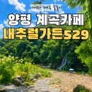 양평가든 | 양평 내추럴가든529 계곡 물놀이 후기｜아이와 가볼 만한 카페 추천