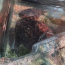 중앙씨네마타운 4 2관 | 전북 부안 2박 3일 여행 (1일차) - 채석강, 내소사 등 볼거리, 찐맛집