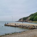 달음산자연휴양림 이미지