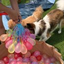 사랑으로유치원 이미지