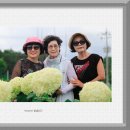 석정농장 이미지