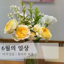 [6월 소소일상] 이직성공과 필리핀 보홀에서의 일주일