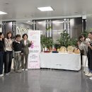 성산구청 이미지