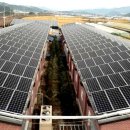 삼호태양광발전소 이미지